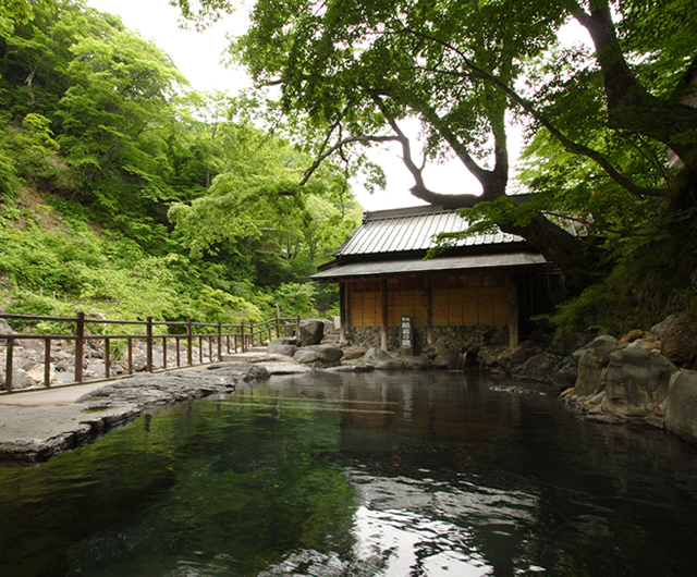 二百畳の広さを誇る混浴風呂　子宝の湯